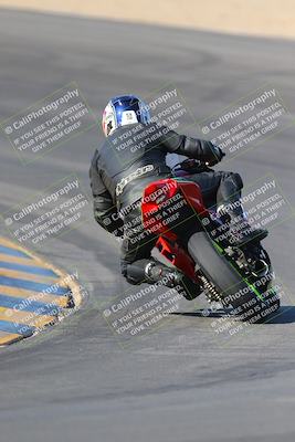 media/Nov-12-2023-SoCal Trackdays (Sun) [[5d1fba4e7d]]/Turn 10 Backside (115pm)/